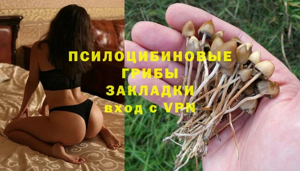 тгк Протвино
