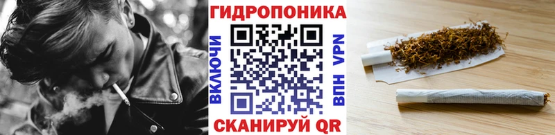 Канабис планчик Канск